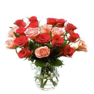 20 Red and Pink Roses in Vase